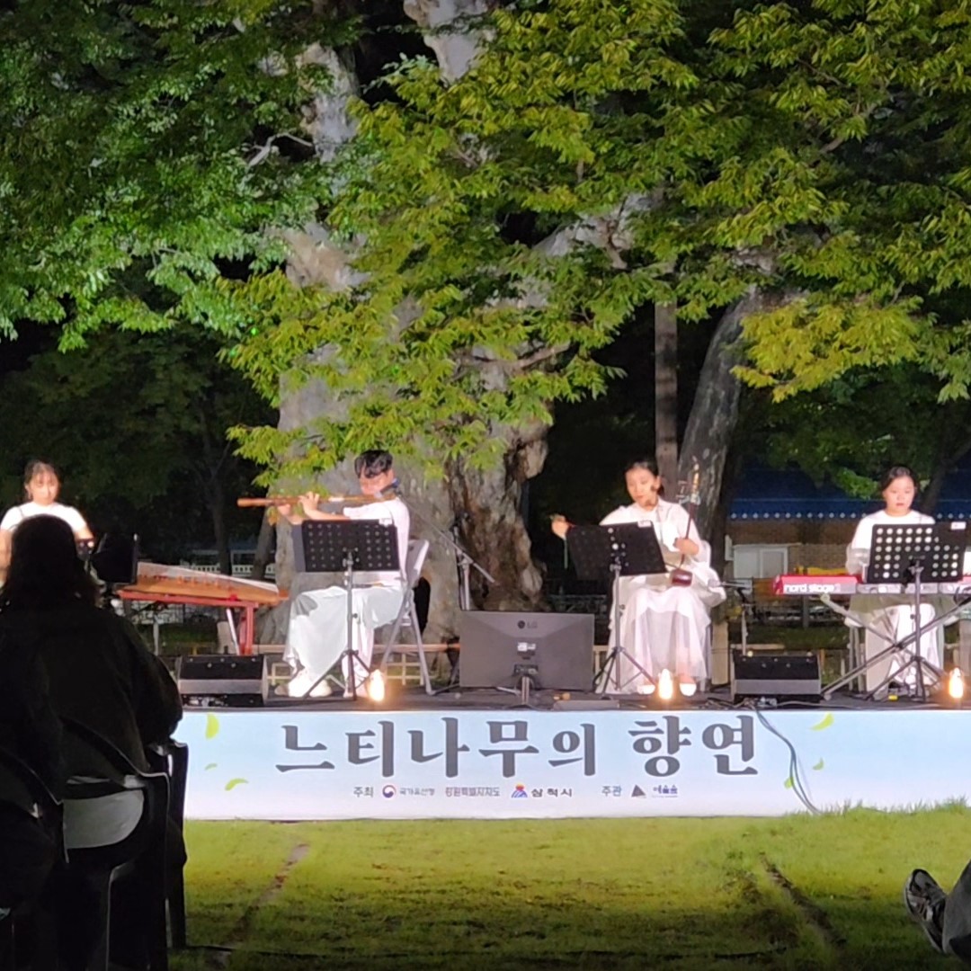 느티나무의 향연